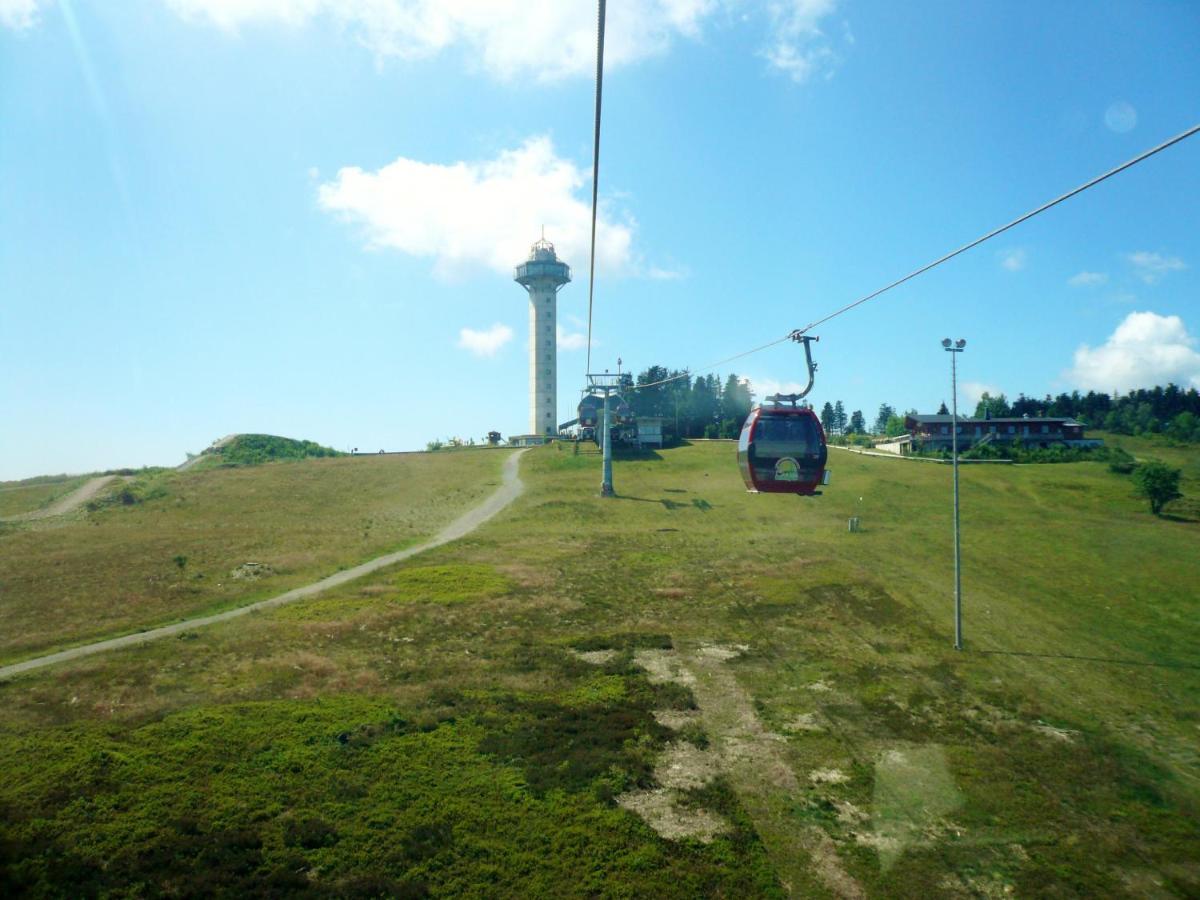 Ferienblockhaus Willingen Mit Meinecardplus Экстерьер фото