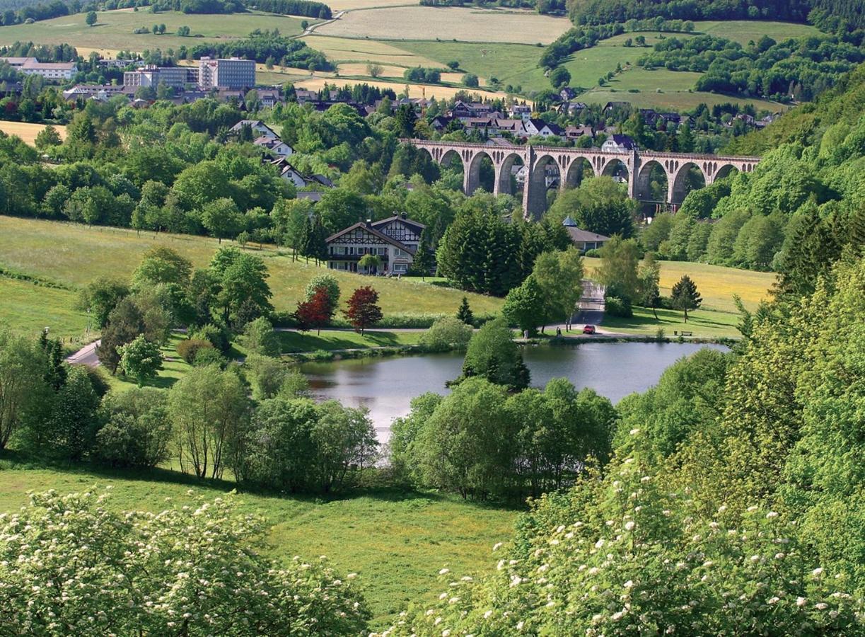 Ferienblockhaus Willingen Mit Meinecardplus Экстерьер фото