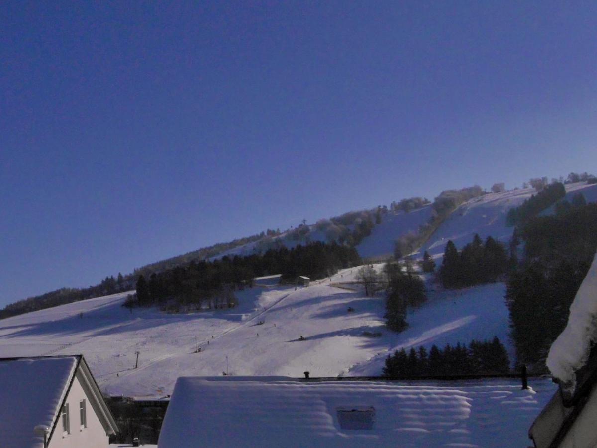 Ferienblockhaus Willingen Mit Meinecardplus Экстерьер фото